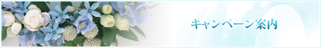 banner.jpg